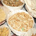 Vraj-Yatra-2014- (955)